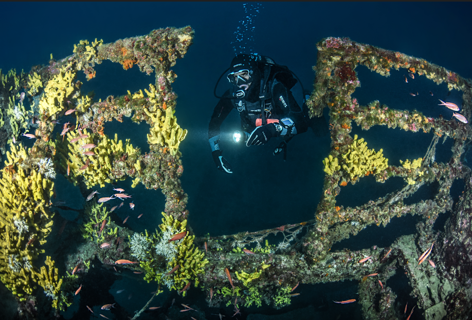 Wreck/Navigation Specialty Courses