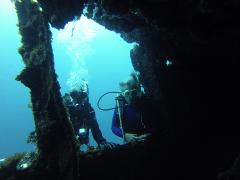 2 Dive Trip - Straddie Dive Sites Day Trip