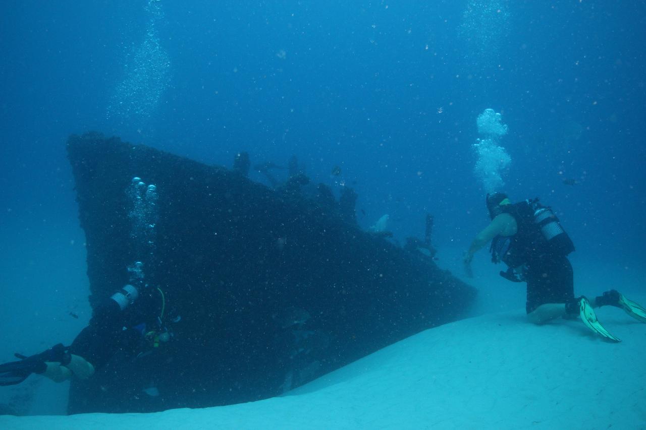 3 Dive Trip - Triple Diver Day Trip (Southern Brisbane Dive Sites)