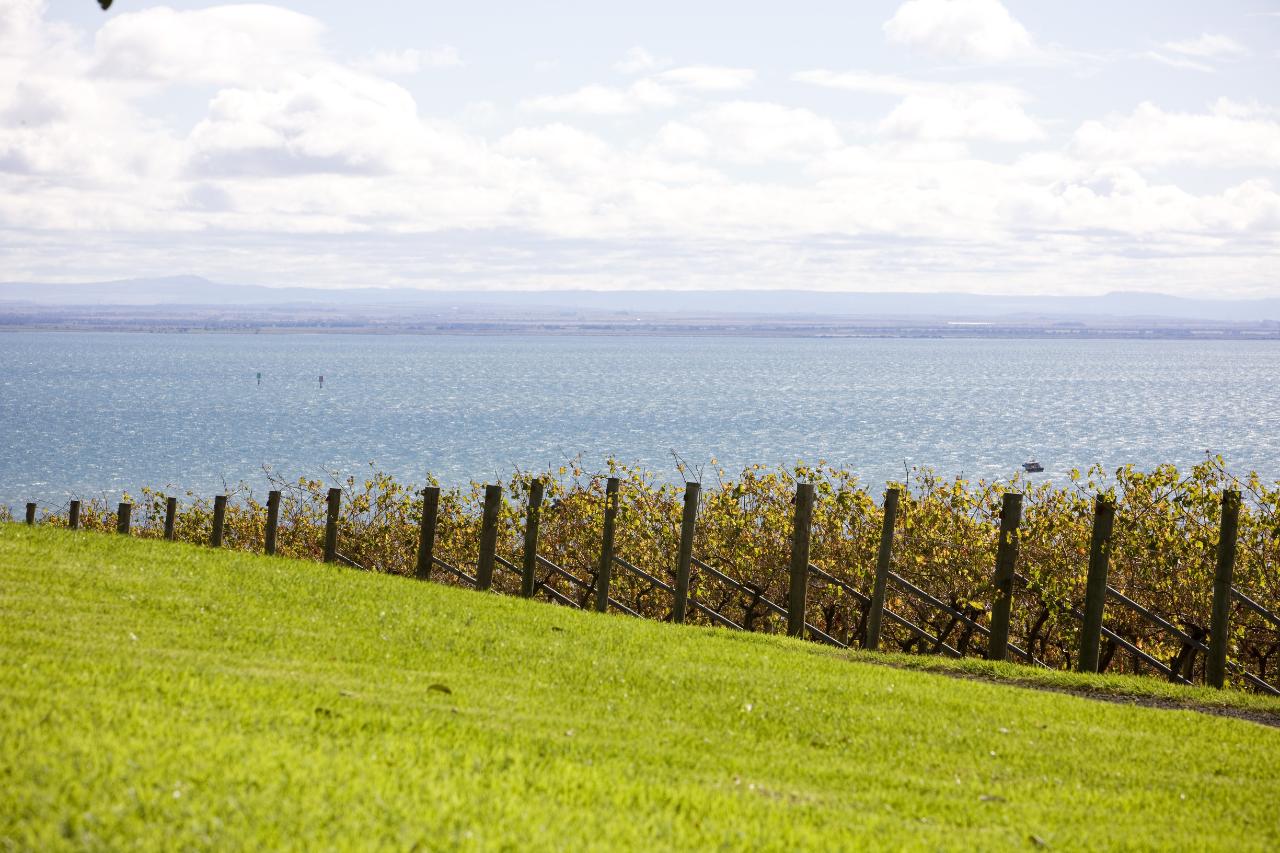 Beautiful Bellarine Peninsula - Private Luxury Winery Tour