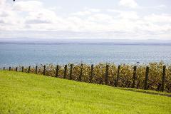 Beautiful Bellarine Peninsula - Private Luxury Winery Tour