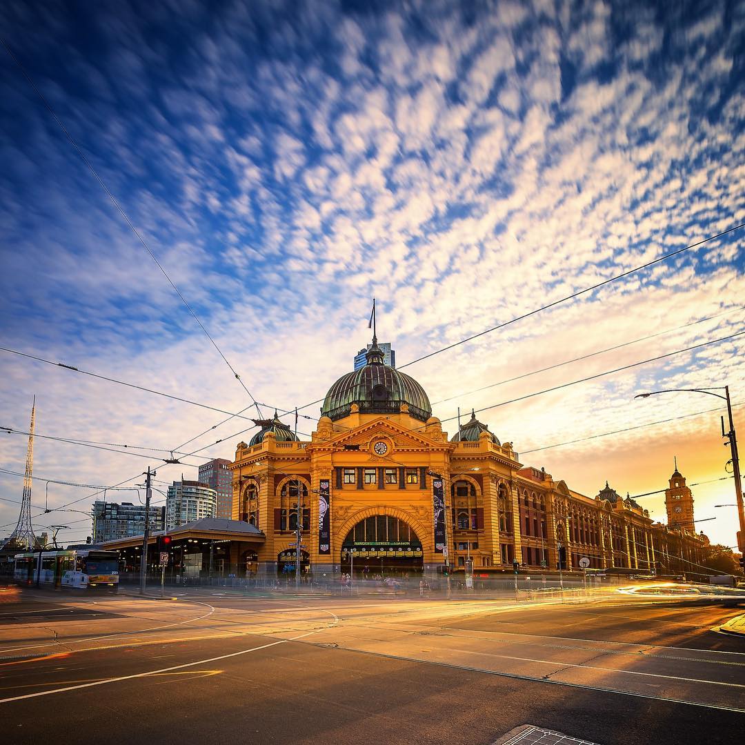 Melbourne City & Phillip Island Wildlife
