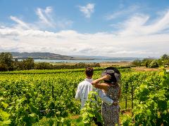 Coal Valley - Gourmet Food & Wine Tour 