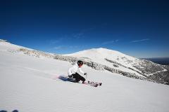 Luxe Bus -  Mt Buller 1 Day Snow Tour 