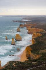 Great Ocean Road Coastal Spectacular with Wildlife Wonders