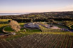 Magnificent Mornington Ultimate Winery Tour