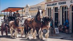 Sovereign Hill Private Tour