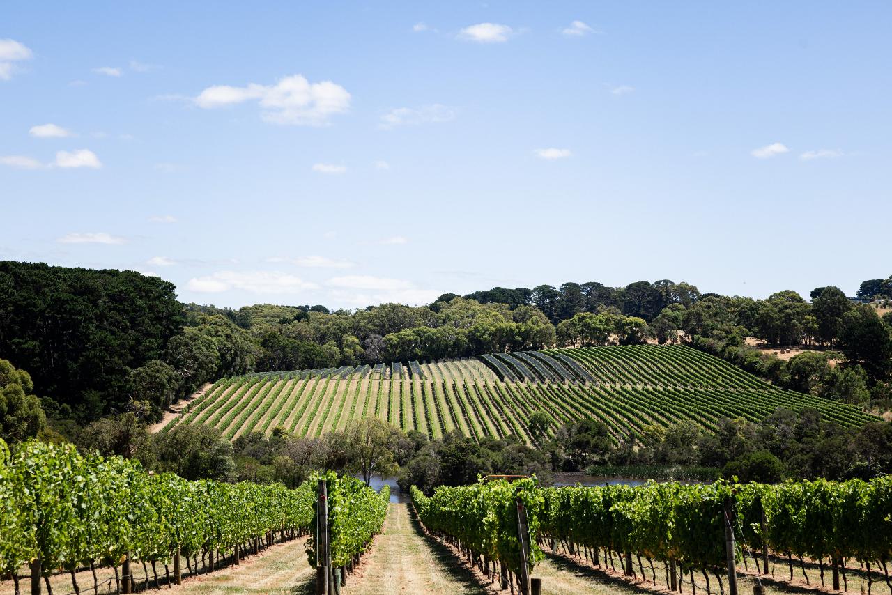 Mornington Peninsula Wineries