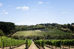 Mornington Peninsula Wineries