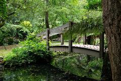Dandenong Ranges - Towering Trees & Craft Villages