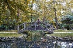 Dandenong Ranges & Phillip Island Penguin Parade - Private Tour