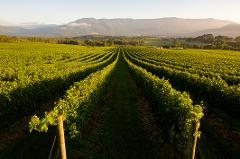 Luxury Yarra Valley Wineries