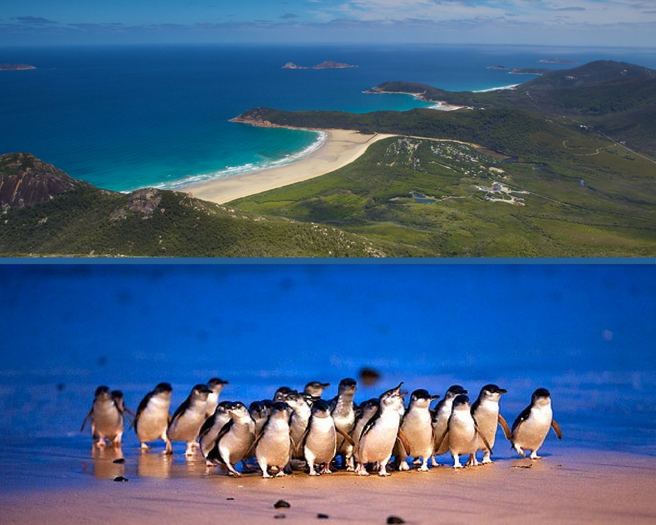 Wilsons Promontory & Penguin Parade – Private Tour