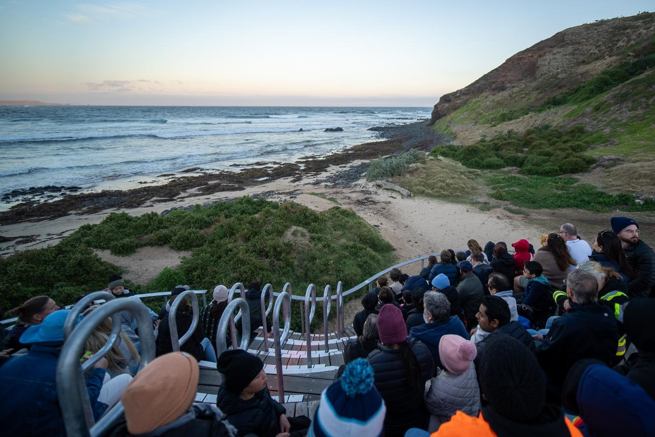 Phillip Island Express