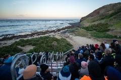 Phillip Island Express