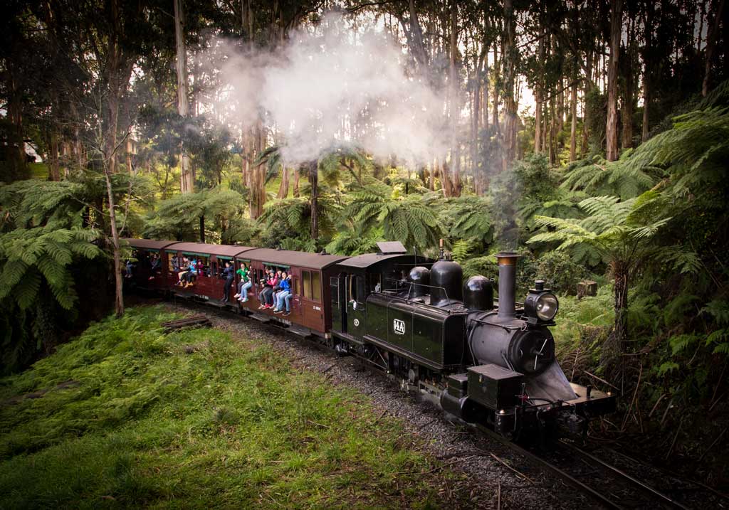 dandenong puffing billy tour