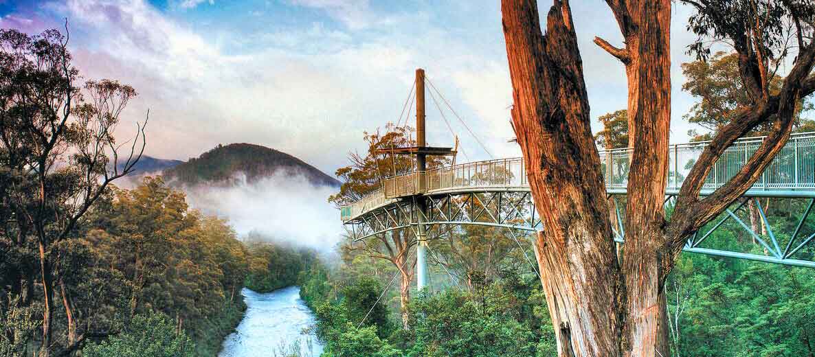 Huon Valley & Tahune Tourer