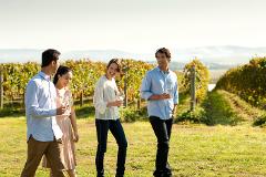 Luxe Bus - Yarra Valley Vintages & Villages