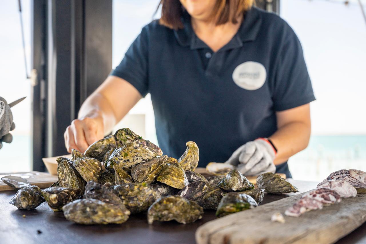 Experience Coffin Bay Oyster Farm and Bay Tour