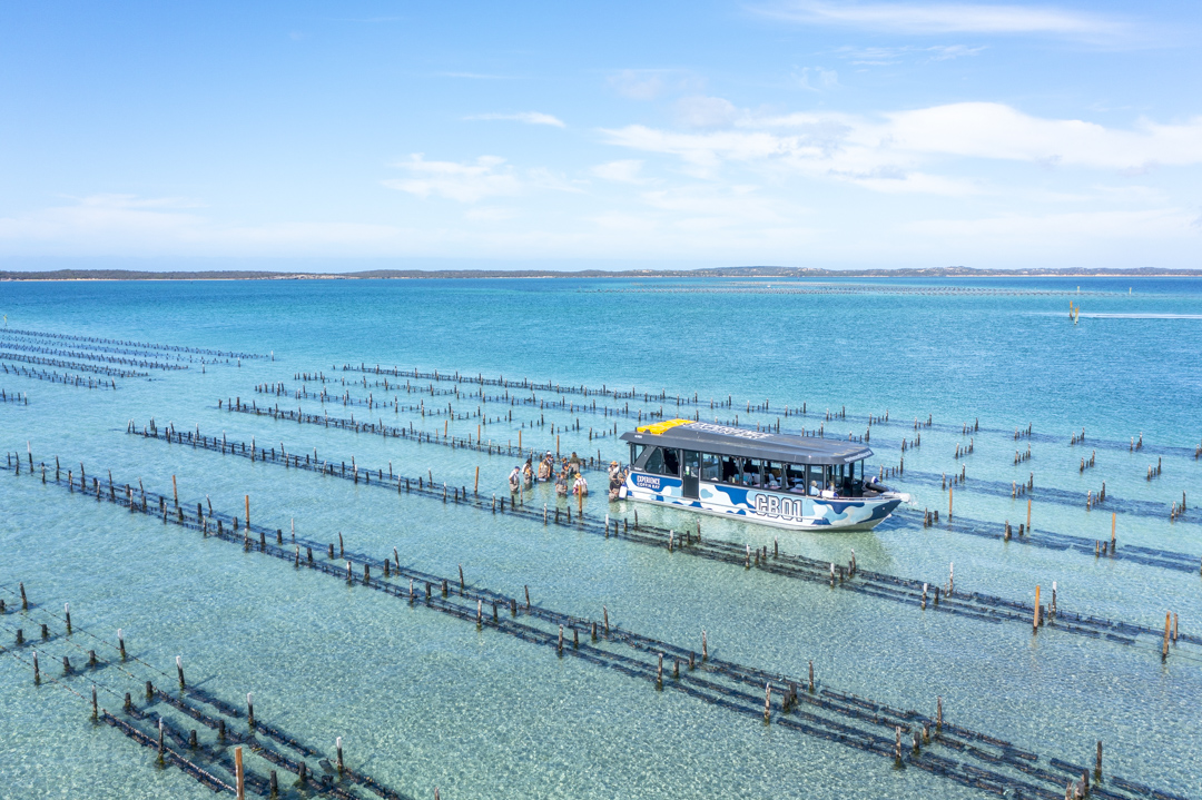 Experience Coffin Bay Oyster Farm and Bay Tour