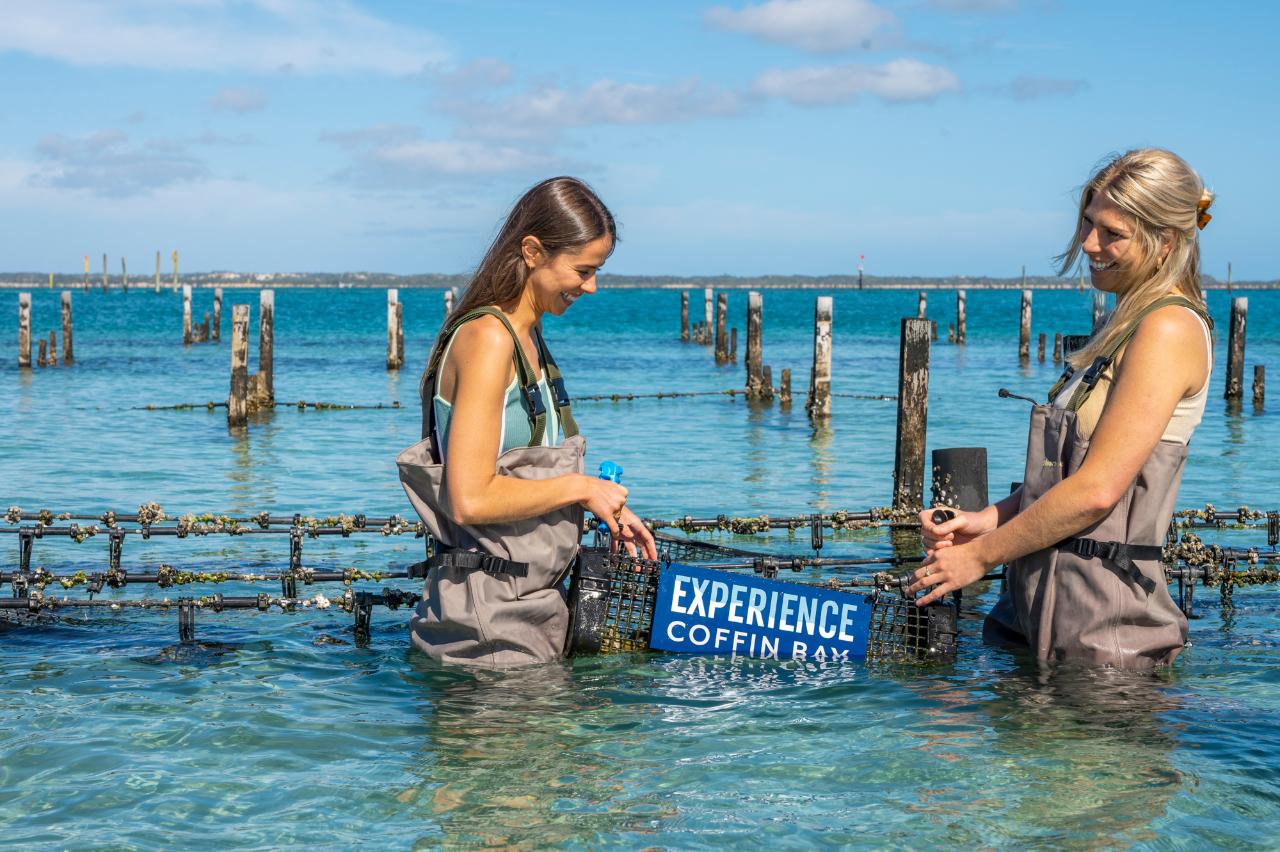 Experience Coffin Bay Oyster Farm and Bay Tour