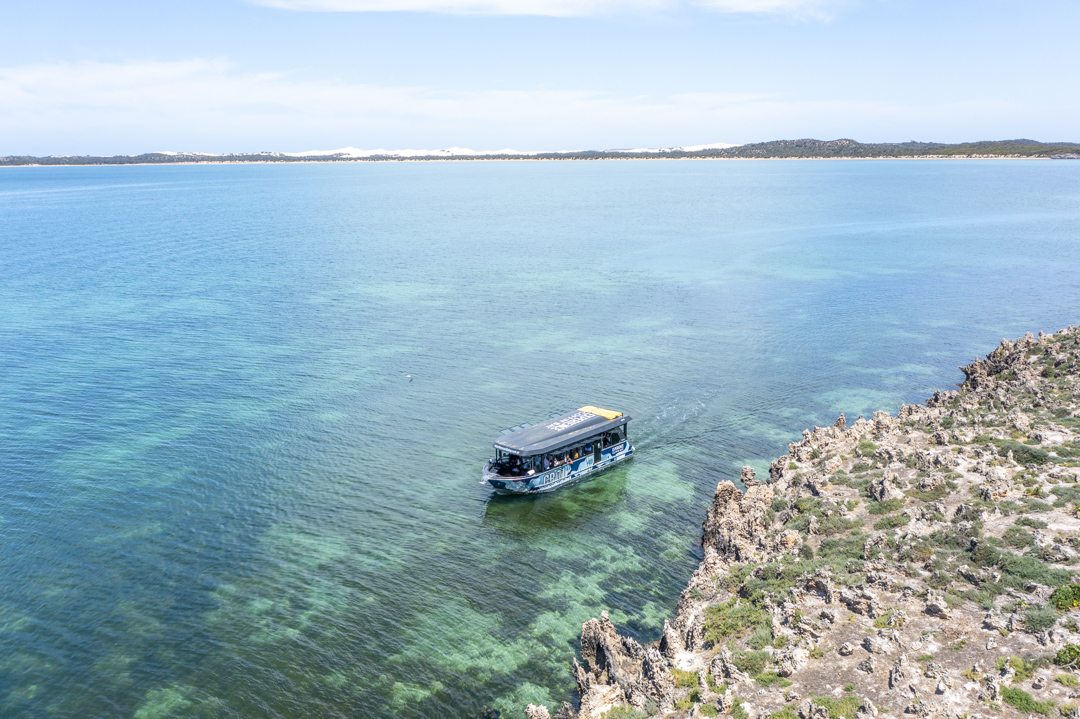 Experience Coffin Bay Oyster Farm and Bay Tour