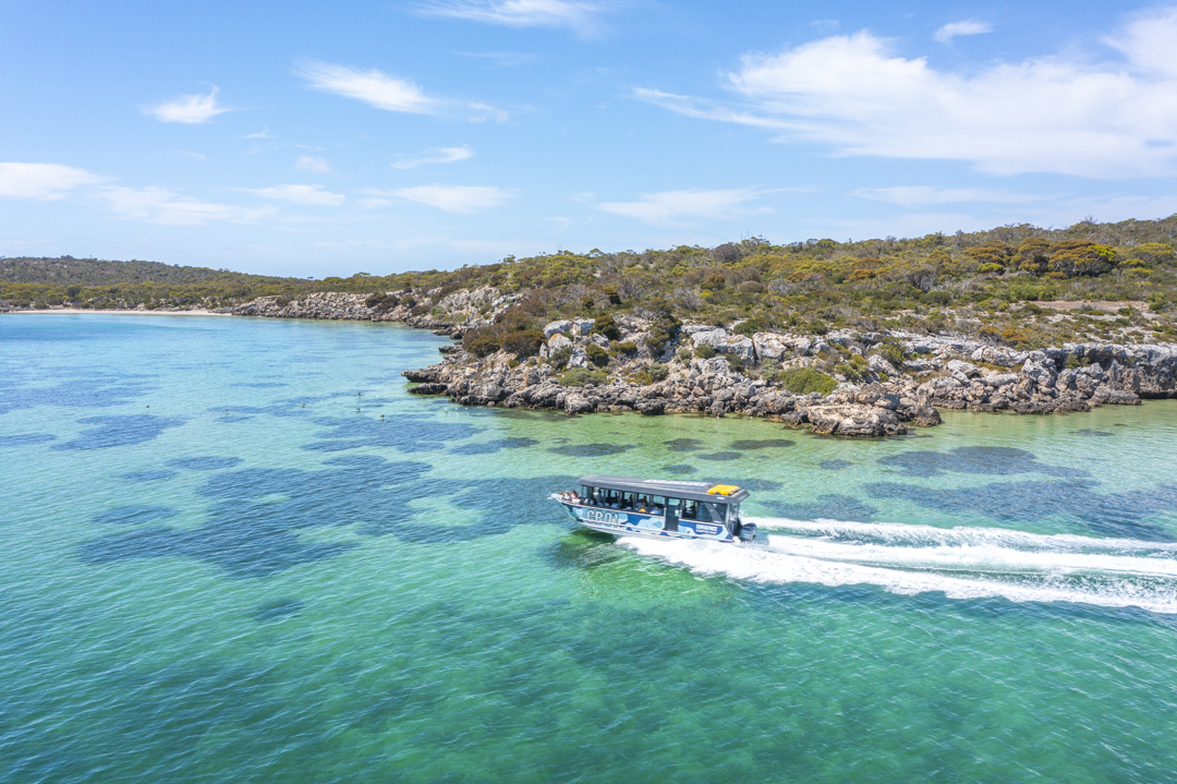Private - Coffin Bay Charter Inc Oysters 