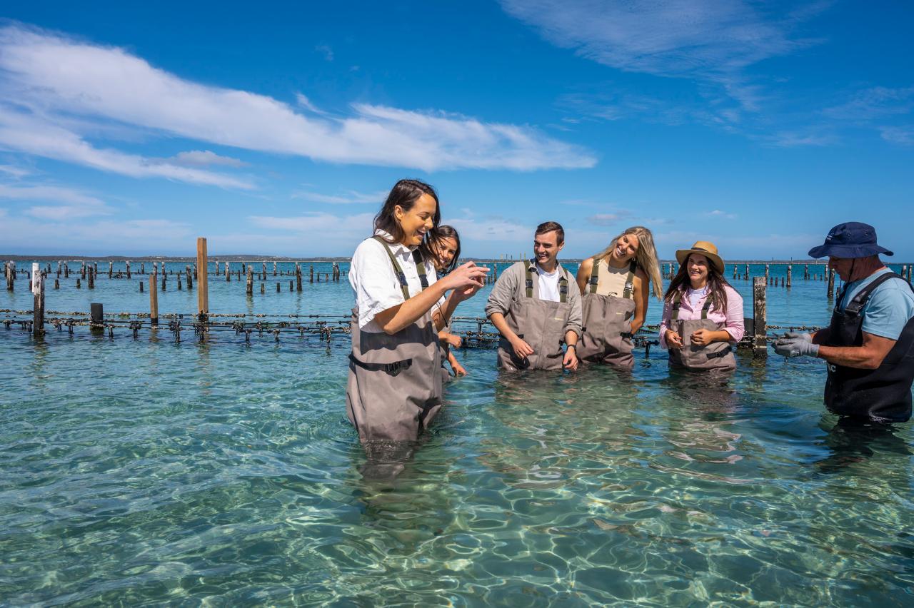 Experience Coffin Bay Oyster Farm and Bay Tour