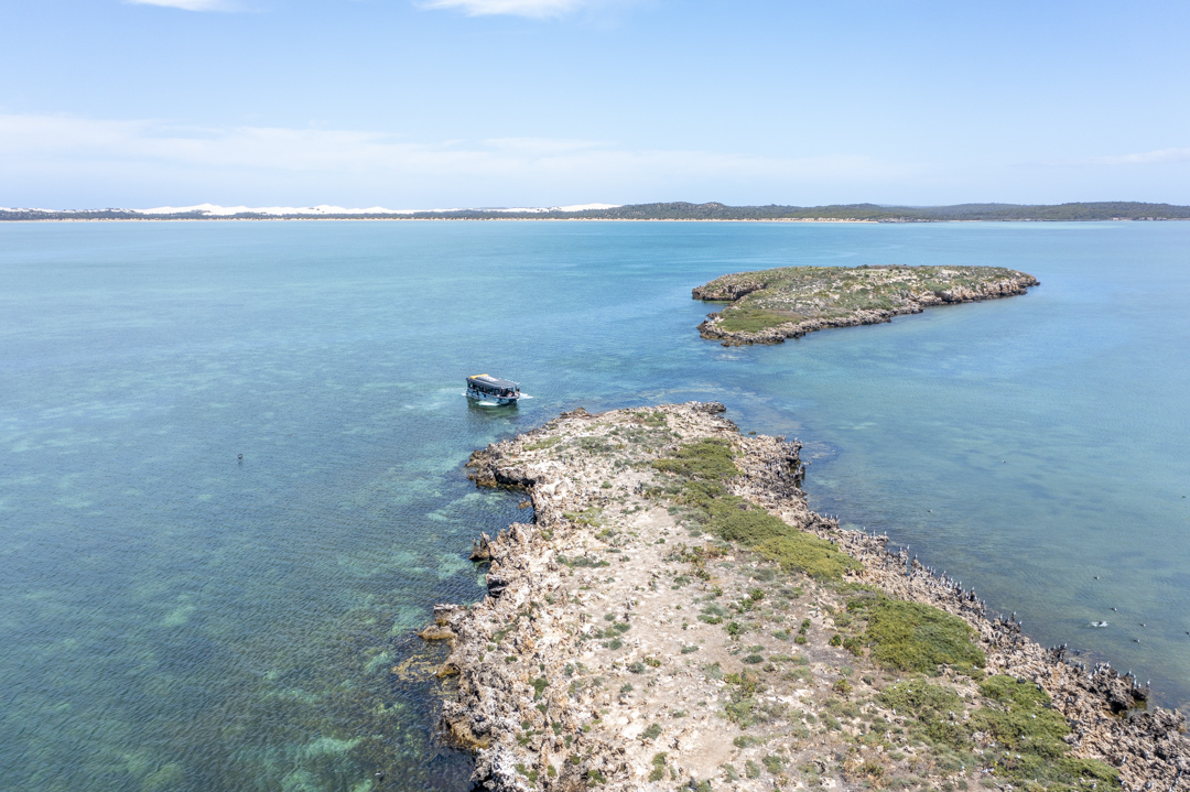 Experience Coffin Bay Oyster Farm and Bay Tour