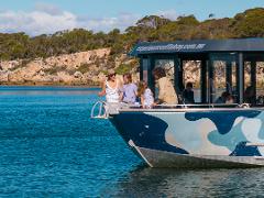 Coffin Bay Short & Sweet Oyster Farm Tour - No Oysters