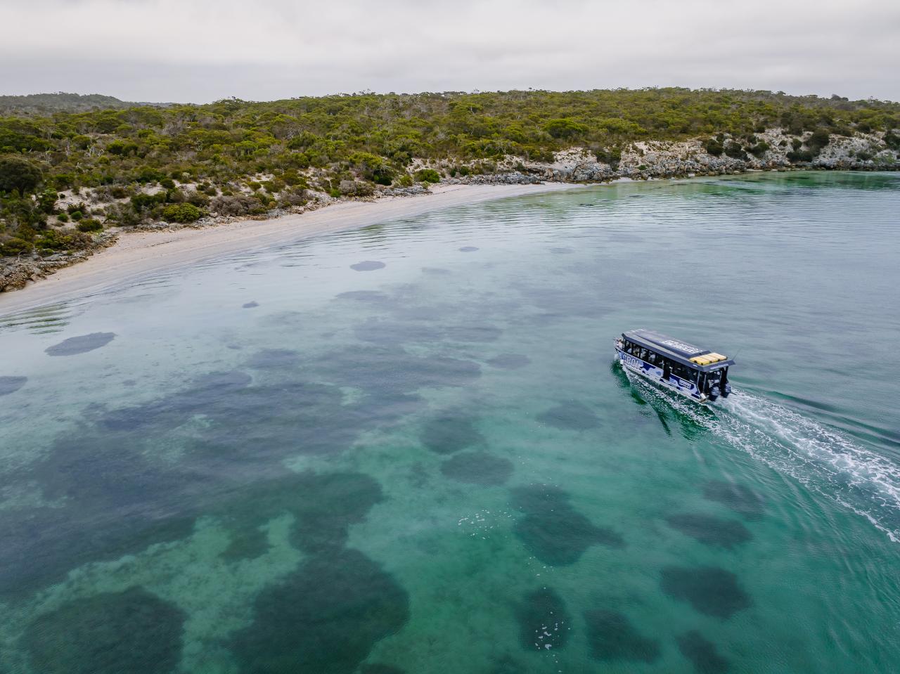 Premium Oyster Season Winter Tour Inc Wading - No Oysters