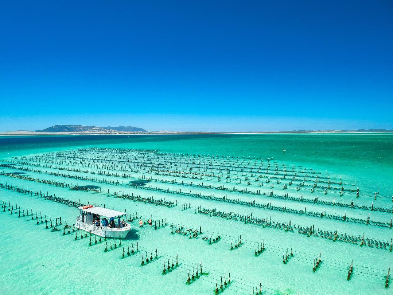 Experience Coffin Bay Private Skippered 3hr Tour