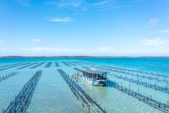 Coffin Bay Oyster Farm and Bay Tour - No Oysters Included