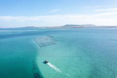 GIFT VOUCHER - Coffin Bay Oyster Farm & Bay Tour - Inc Wading Experience 