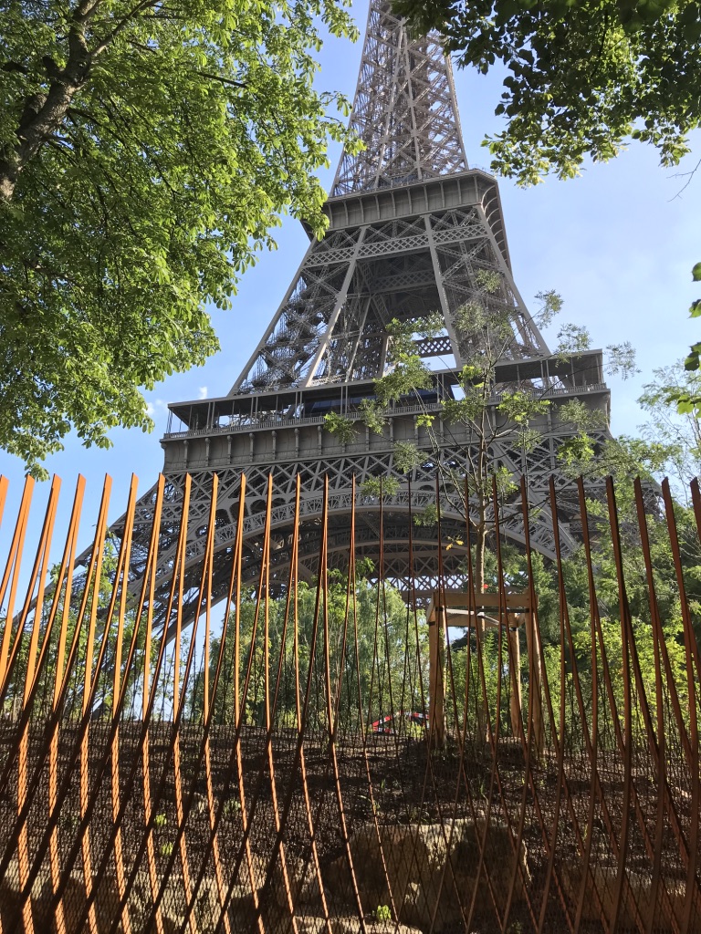 Eiffel Tower 2nd Floor Visit by Elevator and Seine River Cruise