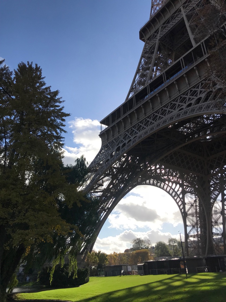Eiffel Tower Tour by Elevator with 2nd Floor Access Tickets