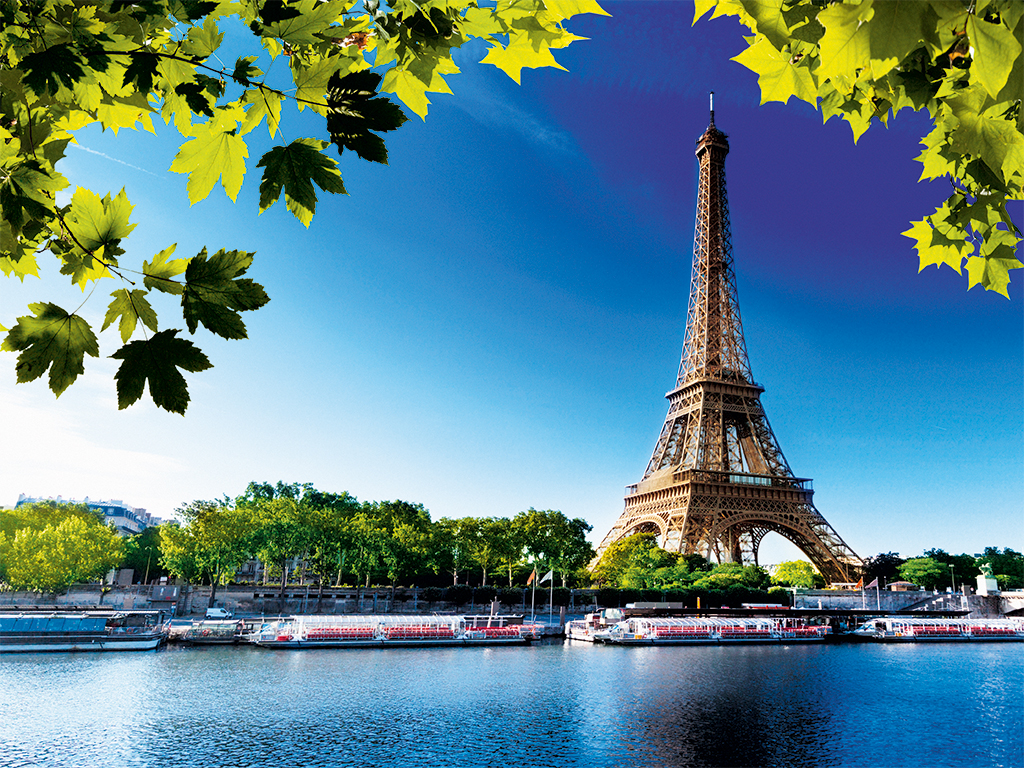 seine river cruise and eiffel tower