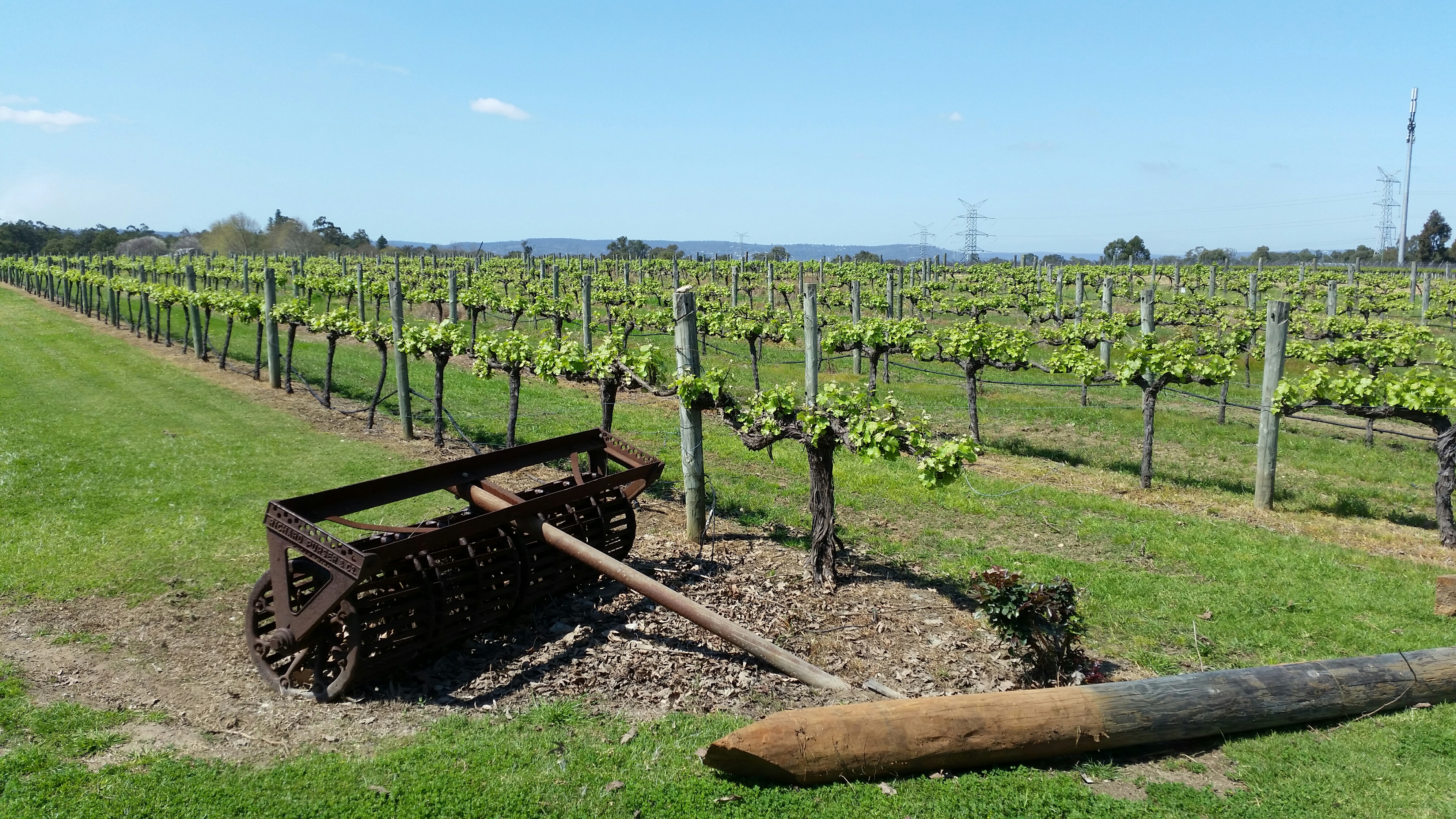 Private Charter Full Day (Approx 7 hours)