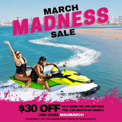 30Min Jet Ski Safari - March Madness