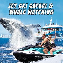 Whale Watching for 2 plus 30 Minute Jet Ski Safari