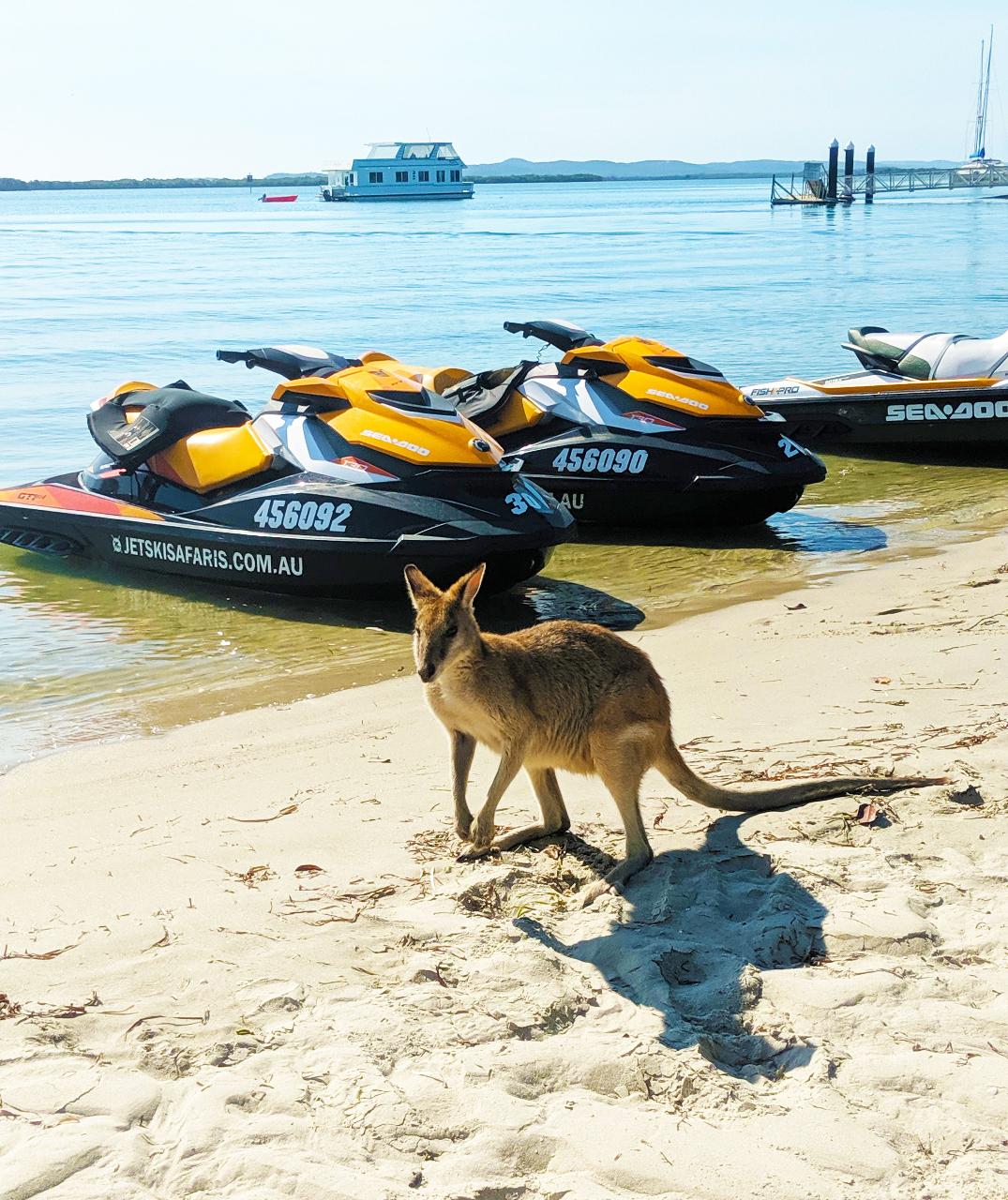 Breakfast Safari with extended Island stop - 1.5 Hour Jet Ski Safari