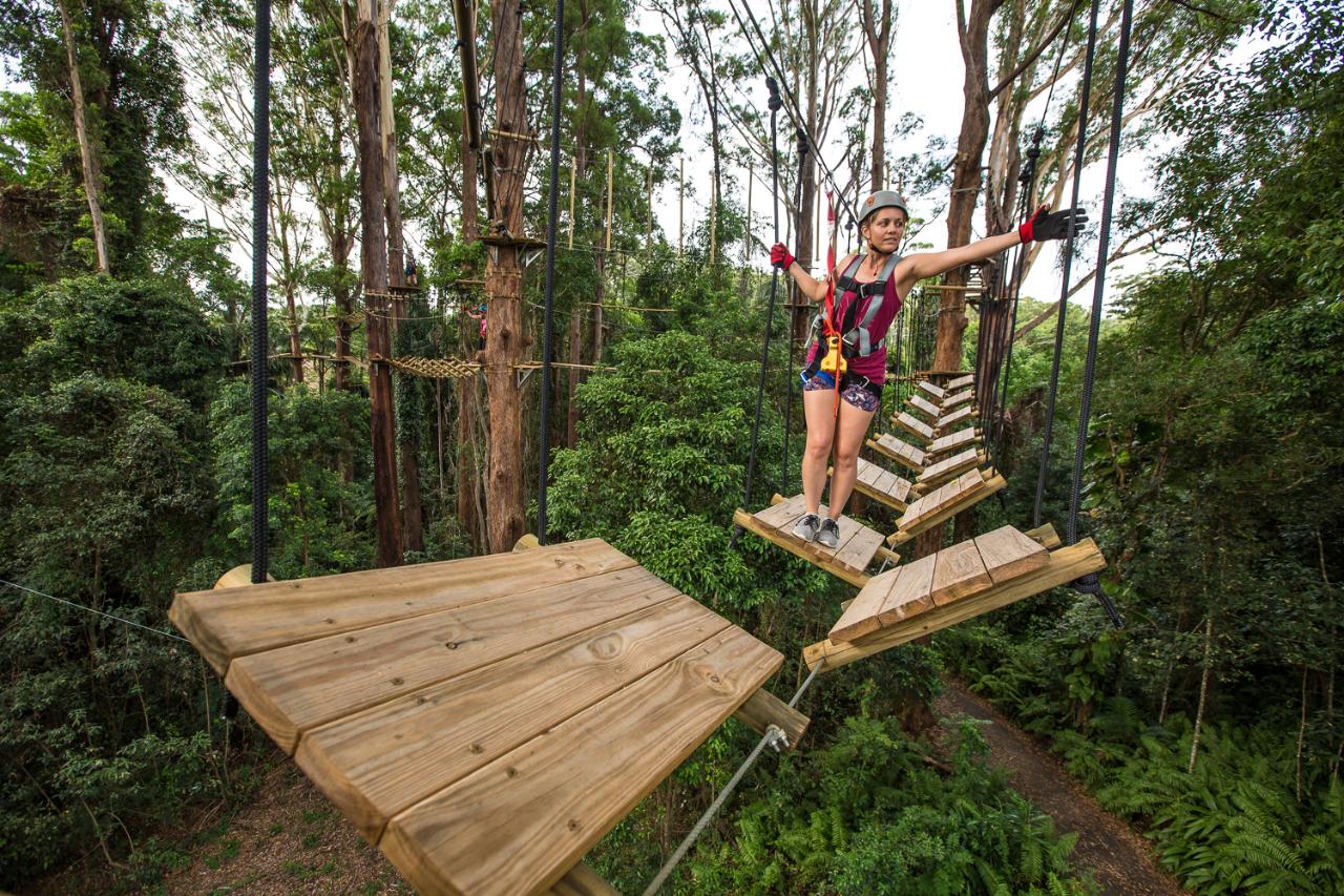 Sunshine Coast Adventure Park - TreeTop Challenge