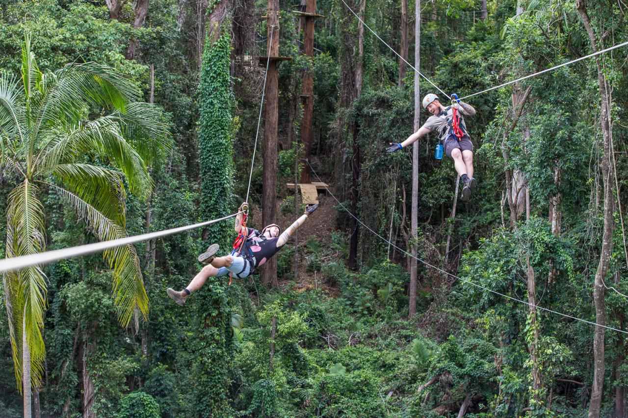 Sunshine Coast Adventure Park - TreeTop Challenge