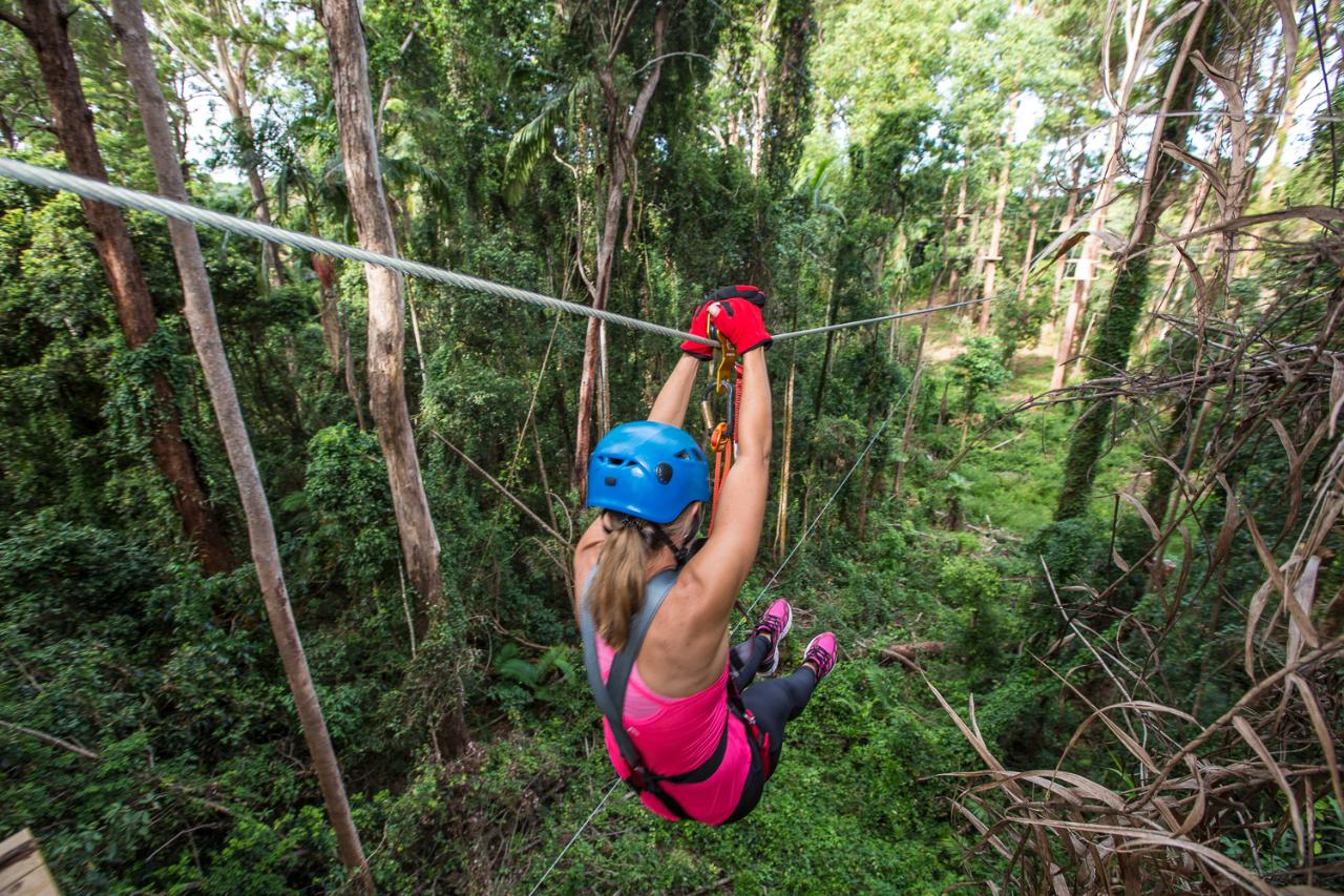 Sunshine Coast Adventure Park - TreeTop Challenge