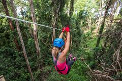 Sunshine Coast Adventure Park - TreeTop Challenge