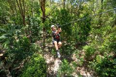 Currumbin Adventure Park - TreeTop Challenge