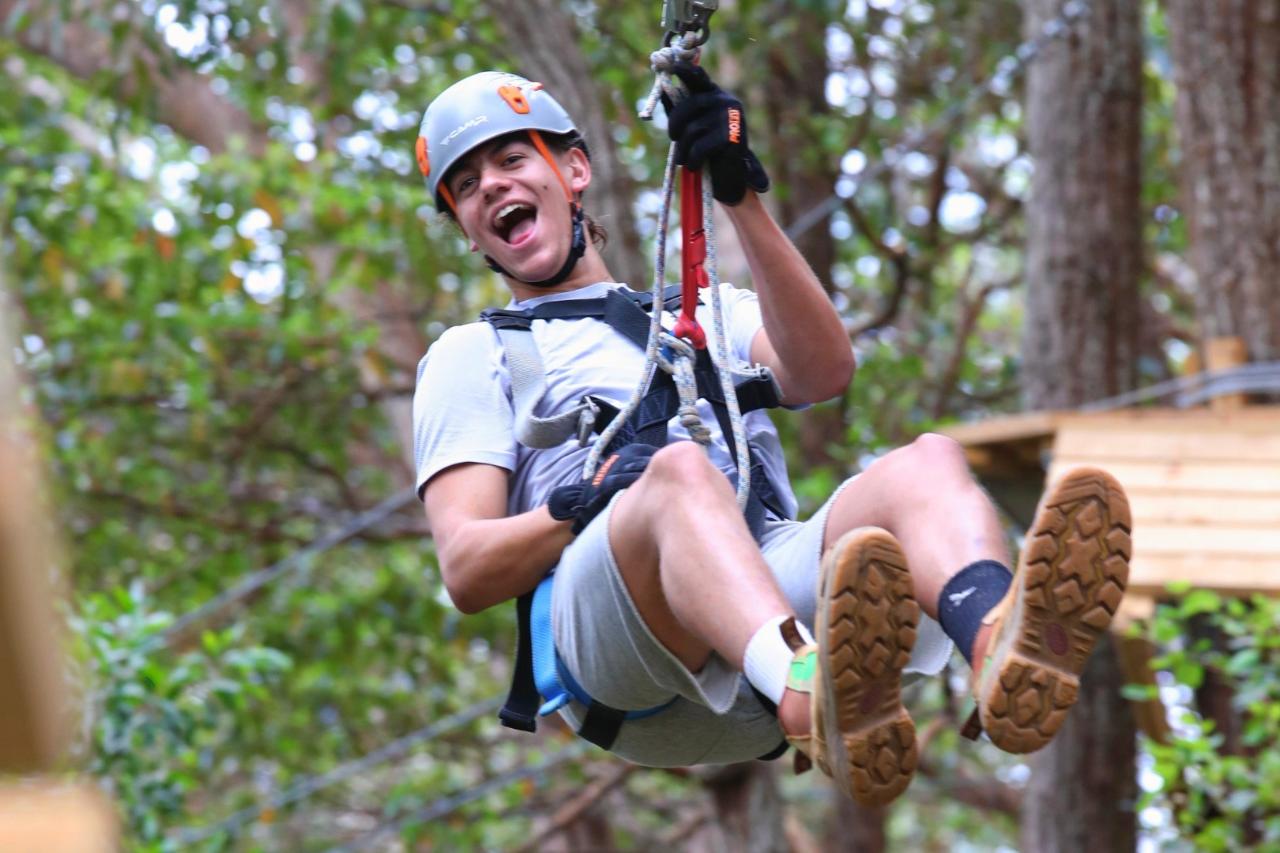 Currumbin Adventure Park - TreeTop Challenge