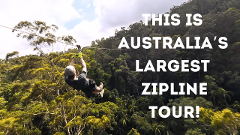 Canyon Flyer - Guided Zipline Tour Tamborine