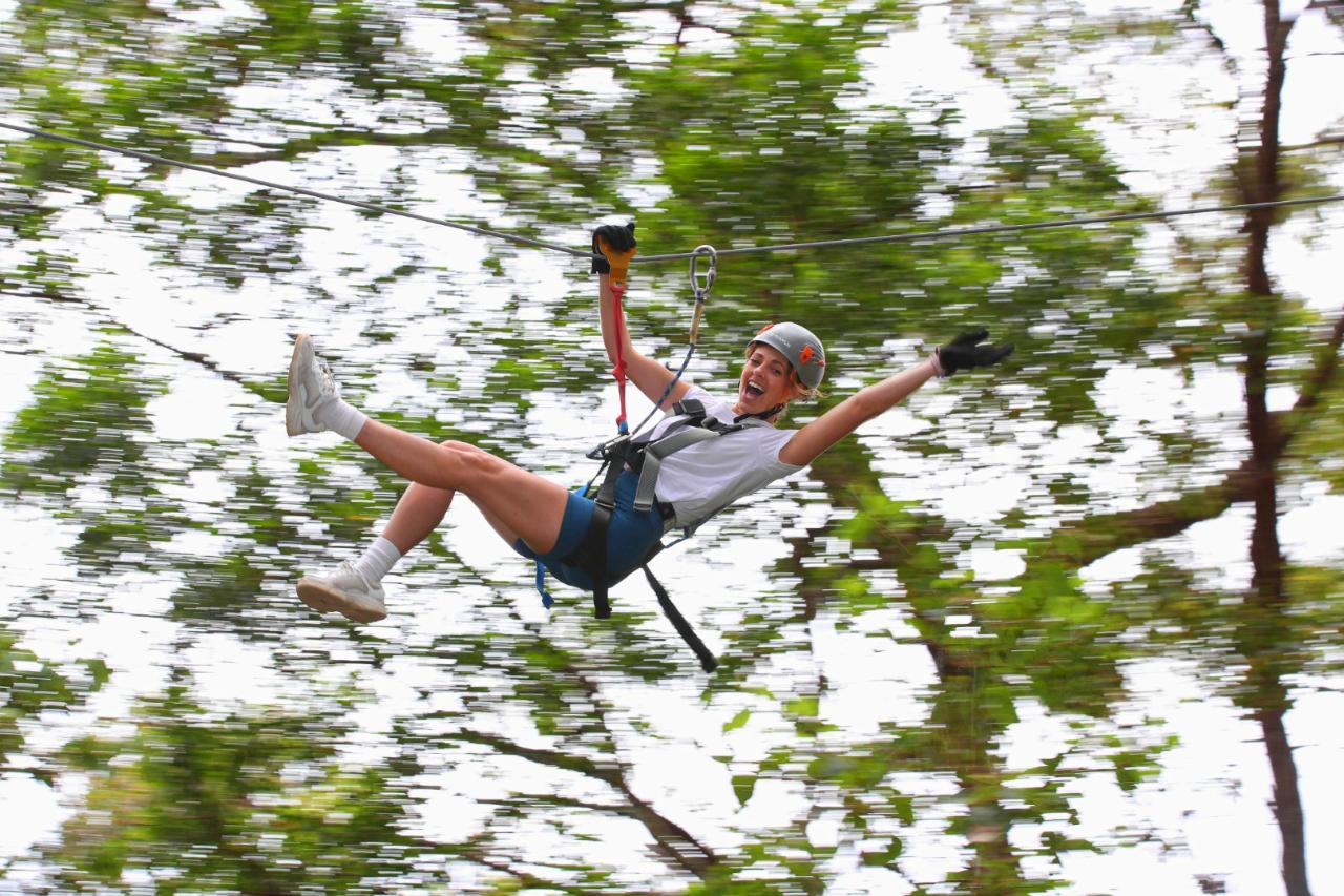 Currumbin Adventure Park - TreeTop Challenge