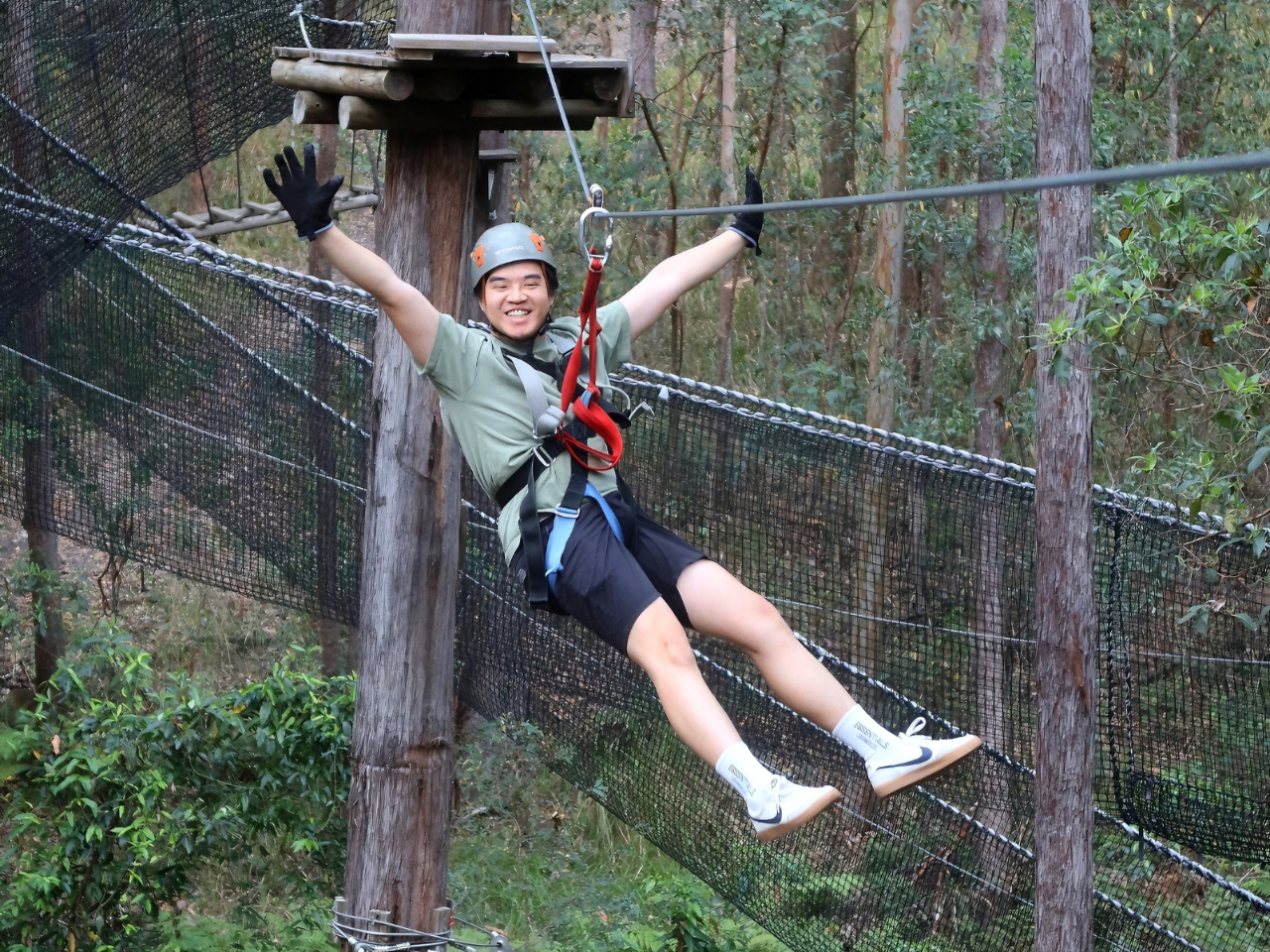 Tamborine Mountain Adventure Park - TreeTop Challenge